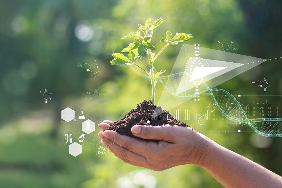 per Klick gelangen Sie zur Seite Biologie Pflanzen mit biochemicher Struktur und chemischer Formel auf grünem Hintergrund