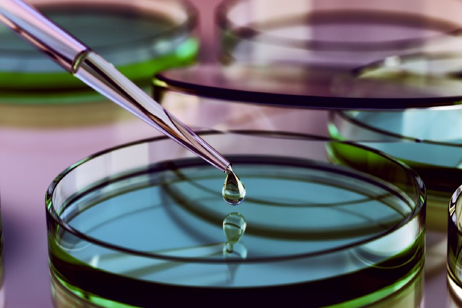 aus einer Pipette tropft eine Flüssigkeit in eine Petrischale per Klick gelangen SIe zu der Unterseite Degintu