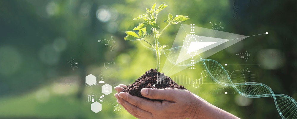 Pflanzen mit biochemicher Struktur und chemischer Formel auf grünem Hintergrund