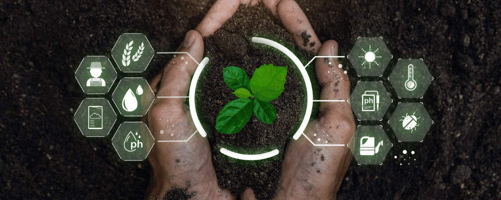 Smart Farming mit Jungpflanzen